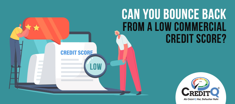 Commercial Credit Score